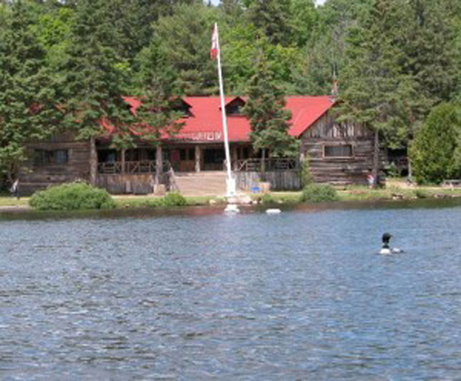 Failure: The New Success