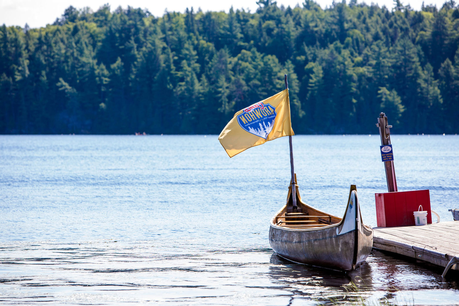 A Swimmingly Silly Sunday