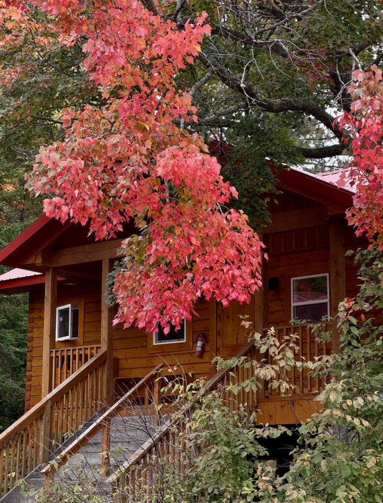 accomodations at camp arowhon